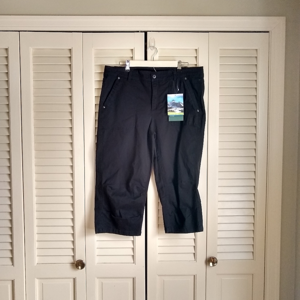 2 for $50! Stillwater Supply Co Capri Pants, NWT